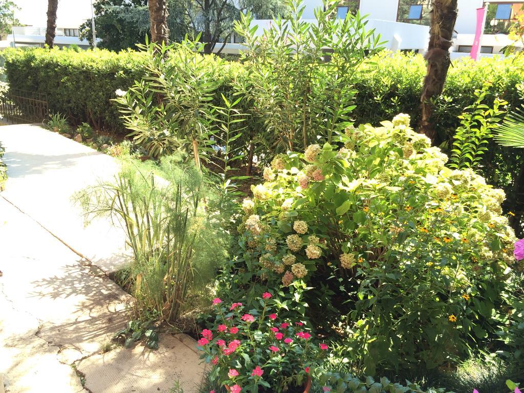 אופטיה Bed & Breakfast Borka מראה חיצוני תמונה